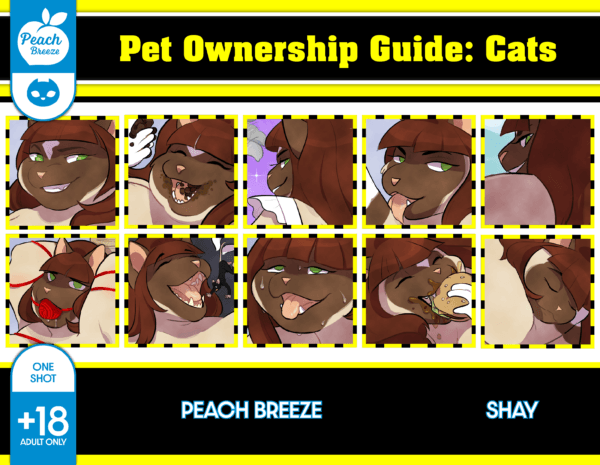 Pet Ownership Guide - Cats